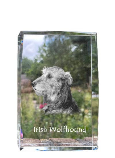 Artdog Irski volčji hrt, irski volčji hrt - kristal s fotografijo psa, fotografija v steklu, sodobna fotografska razstava blagovne znamke Art-Dog