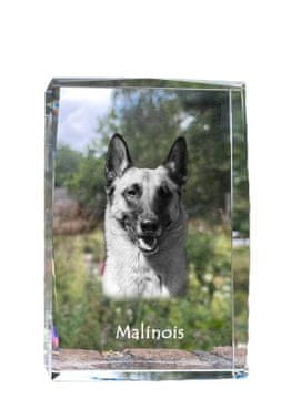 Artdog Belgijski ovčar Malinois - kristal s fotografijo psa, fotografija v steklu, sodobna fotografska razstava Art-Dog