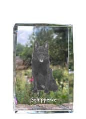 Artdog Schipperke - kristal s fotografijo psa, fotografija v steklu, sodobna fotografska razstava blagovne znamke Art-Dog