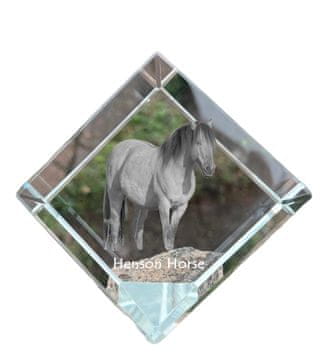 Artdog Henson konj - kristalna kocka s fotografijo konja, fotografija konja v kristalu, kubični obtežilnik za papir Art-Dog