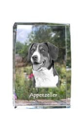 Artdog Appenzeller, Planinski pes iz Appenzella - kristal s fotografijo psa, fotografija v steklu, sodobna fotografska razstava znamke Art-Dog