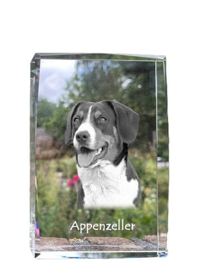 Artdog Appenzeller, Planinski pes iz Appenzella - kristal s fotografijo psa, fotografija v steklu, sodobna fotografska razstava znamke Art-Dog