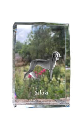 Artdog Perzijski hrt, Saluki I - kristal s fotografijo psa, fotografija v steklu, razstava modernih fotografij Art-Dog