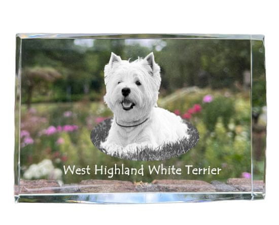 Artdog Westhighland White Terrier, Westie - kristal s fotografijo psa, fotografija v steklu, sodobna fotografska razstava Art-Dog