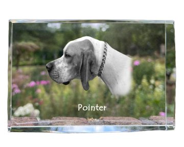 Artdog Pointer I - kristal s fotografijo psa, fotografija v steklu, sodobna fotografska razstava blagovne znamke Art-Dog
