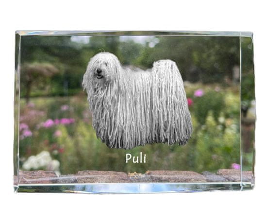 Artdog Puli - kristal s fotografijo psa, fotografija v steklu, sodobna razstava fotografij blagovne znamke Art-Dog