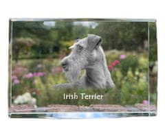 Artdog Irski terier, Irski rdeči terier - kristal s fotografijo psa, fotografija v steklu, sodobna fotografska razstava znamke Art-Dog