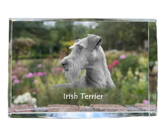 Artdog Irski terier, Irski rdeči terier - kristal s fotografijo psa, fotografija v steklu, sodobna fotografska razstava znamke Art-Dog