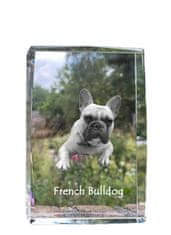 Artdog Francoski buldog - kristal s fotografijo psa, fotografija v steklu, sodobna fotografska razstava Art-Dog