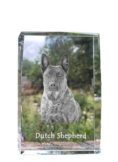Artdog Nizozemski ovčar - kristal s fotografijo psa, fotografija v steklu, sodobna fotografska razstava Art-Dog