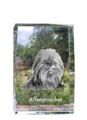 Artdog Opičji pinč, Affenpinscher - kristal s fotografijo psa, fotografija v steklu, sodobna fotografska razstava Art-Dog