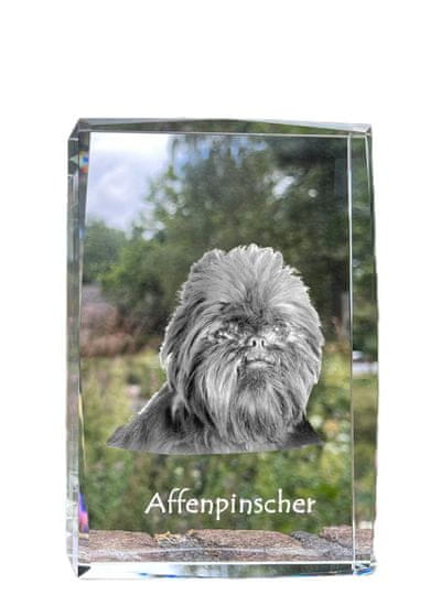Artdog Opičji pinč, Affenpinscher - kristal s fotografijo psa, fotografija v steklu, sodobna fotografska razstava Art-Dog