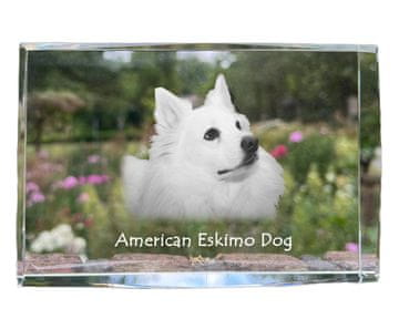 Artdog Ameriški eskimski pes, ameriški špic - kristal s fotografijo psa, fotografija v steklu, sodobna fotografska razstava Art-Dog