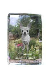 Artdog Dolgodlaka čivava - kristal s fotografijo psa, fotografija v steklu, sodobna fotografska razstava Art-Dog