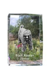 Artdog Ruski črni terier - kristal s fotografijo psa, fotografija v steklu, sodobna fotografska razstava znamke Art-Dog