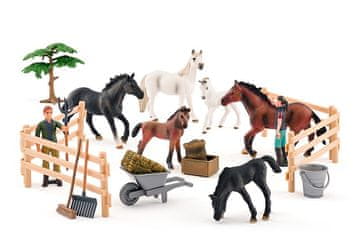 Komplet konjev z lipicanci