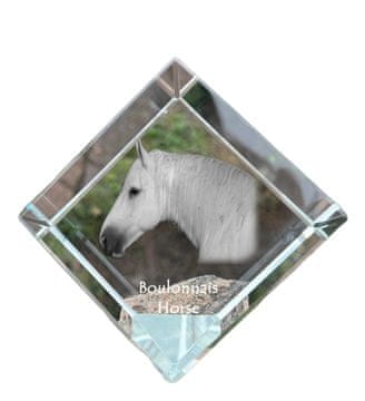 Artdog Konj Boulonnais - kristalna kocka s fotografijo konja, fotografija konja v kristalu, kubični obtežilnik za papir Art-Dog