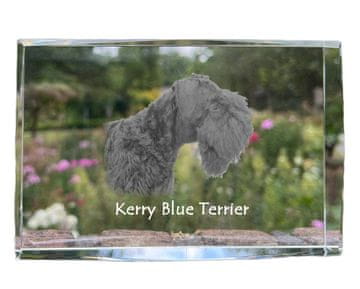 Artdog Kerry Blue Terrier, Irski Blue Terrier - kristal s fotografijo psa, fotografija v steklu, sodobna fotografska razstava Art-Dog