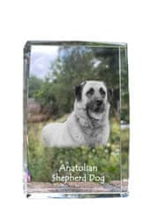 Artdog Anatolski ovčar, Anatolian Shepherd Dog - kristal s fotografijo psa, fotografija v steklu, sodobna fotografska razstava znamke Art-Dog