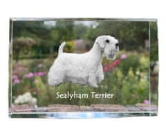 Artdog Sealyham terier - kristal s fotografijo psa, fotografija v steklu, sodobna fotografska razstava Art-Dog