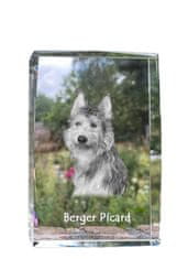 Artdog Picardy Sheepdog, Berger Picard - kristal s fotografijo psa, fotografija v steklu, sodobna fotografska razstava Art-Dog