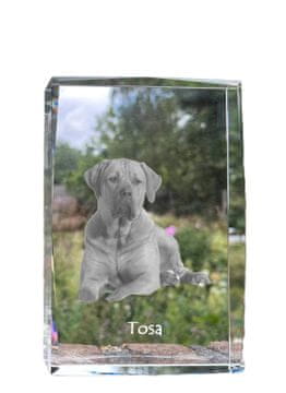 Artdog Tosa Inu, Tosa-inu, japonski mastif - kristal s fotografijo psa, fotografija v steklu, sodobna fotografska razstava Art-Dog