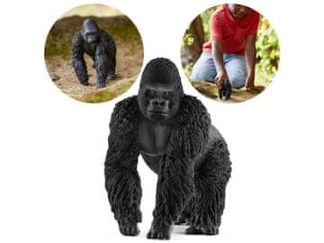 Schleich Schleich Wild Life - Samec gorile, figura za otroke 3+