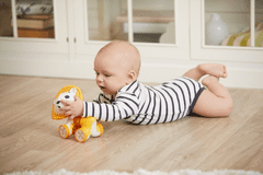 Tiny Love Lev jahati Leonardo