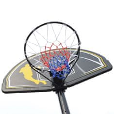 Master Sport Košarkarski obroč Ulica 305
