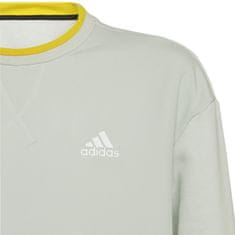 Adidas Športni pulover 171 - 176 cm/XL Crew Fleece All Szn