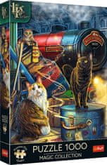 Trefl Puzzle Premium Plus Magic Collection: Witchwood Express 1000 kosov