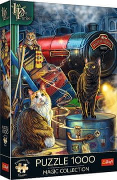Trefl Puzzle Premium Plus Magic Collection: Witchwood Express 1000 kosov