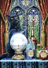 Trefl Puzzle Premium Plus Magic Collection: Sorcerer's Apprentice 1000 kosov