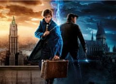 Aquarius Puzzles Puzzle Harry Potter: Fantastic Beasts 1000 kosov