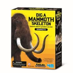 4M okostje - mamut