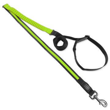 Vodilo za pse Fantasy USB LED najlonski tekaški povodec zelene barve 2,5x180-250cm