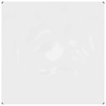 Vidaxl Prozorna ponjava z očesci 2 x 2 m PVC