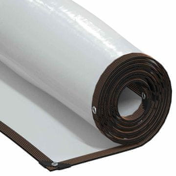 Vidaxl vidaXL Prozorna ponjava z očesci 2 x 4 m polietilen