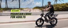 Electrično kolo 250W 45km/h 48V15.4Ah