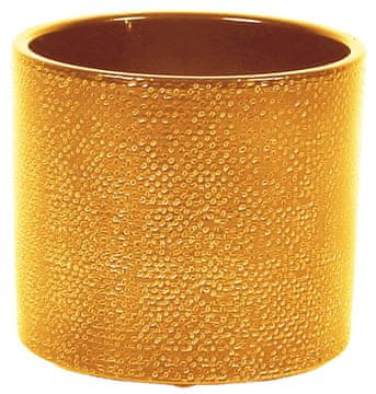 Embalaža 416 Curry Lasur gloss 15 cm - 6 kosov