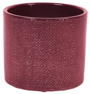Embalaža 416 Merlot Lasur glos 11 cm - 6 kosov