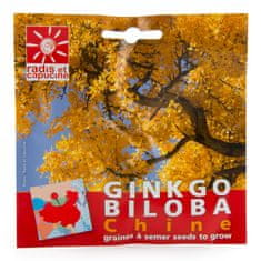 Radis et Capucine Semena Ginkgo Biloba