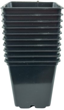Cvetlični lonček - posoda, trda plastika 7x7x8 cm - 10 kosov