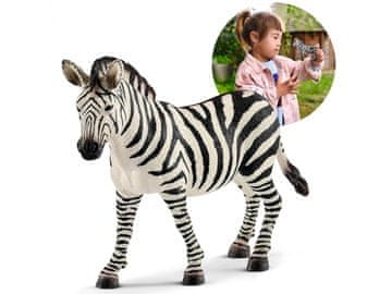 Schleich Schleich Wild Life - Samica zebre, figurica za otroke 3+