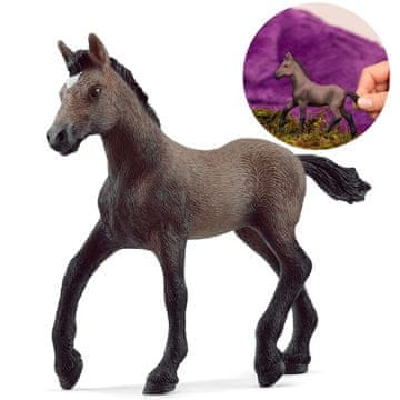 Schleich 13954 Schleich Horse Club - Žrebe pasme paso peruwiański, figurica za otroke od 5 let