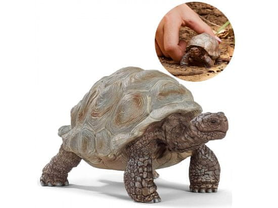 Schleich SLH14824 Schleich Wild Life - Velika kopenska želva, figurica za otroke od 3. leta