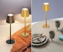 Platinet PLATINET PTL44GL brezžična namizna LED svetilka, do 400 lumnov, nastavljiva svetlost, nastavljiva barvna temperatura, 4000mAh polnilna baterija, IP44 odpornost, USB Type-C, 37x12cm, kovina, zlata
