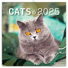 Notique Mrežni koledar Mačke 2025