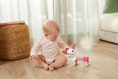 Tiny Love srnjak jahati Firence