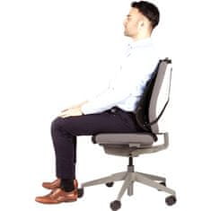 Fellowes Fellowes profesionalni mrežasti naslon za hrbet s foam polnilom, črn - ergonomijska podpora za udobno sedenje